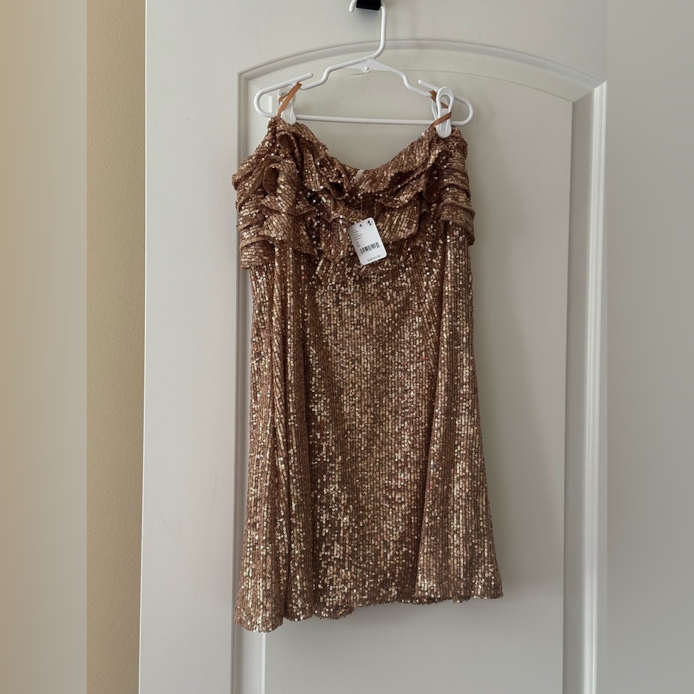 Free People Frida Ruffle Mini Dress in Berries and Champagne - Picture 5 of 9